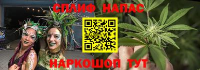 гашик Аша